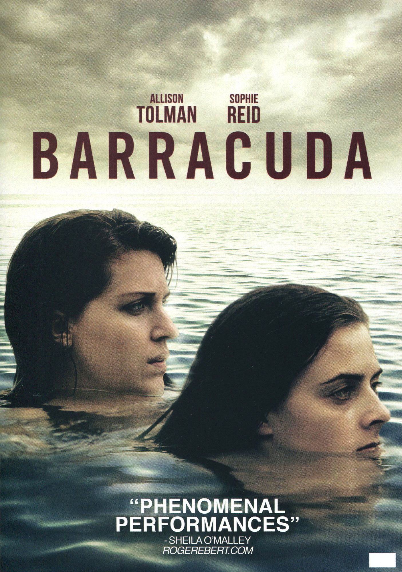 Barracuda