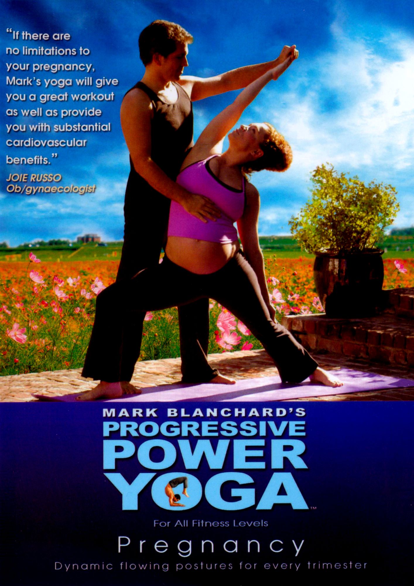 Progressive Power Yoga: Pregnancy