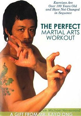 The Perfect Martial Arts Workout With Michael Nevermind