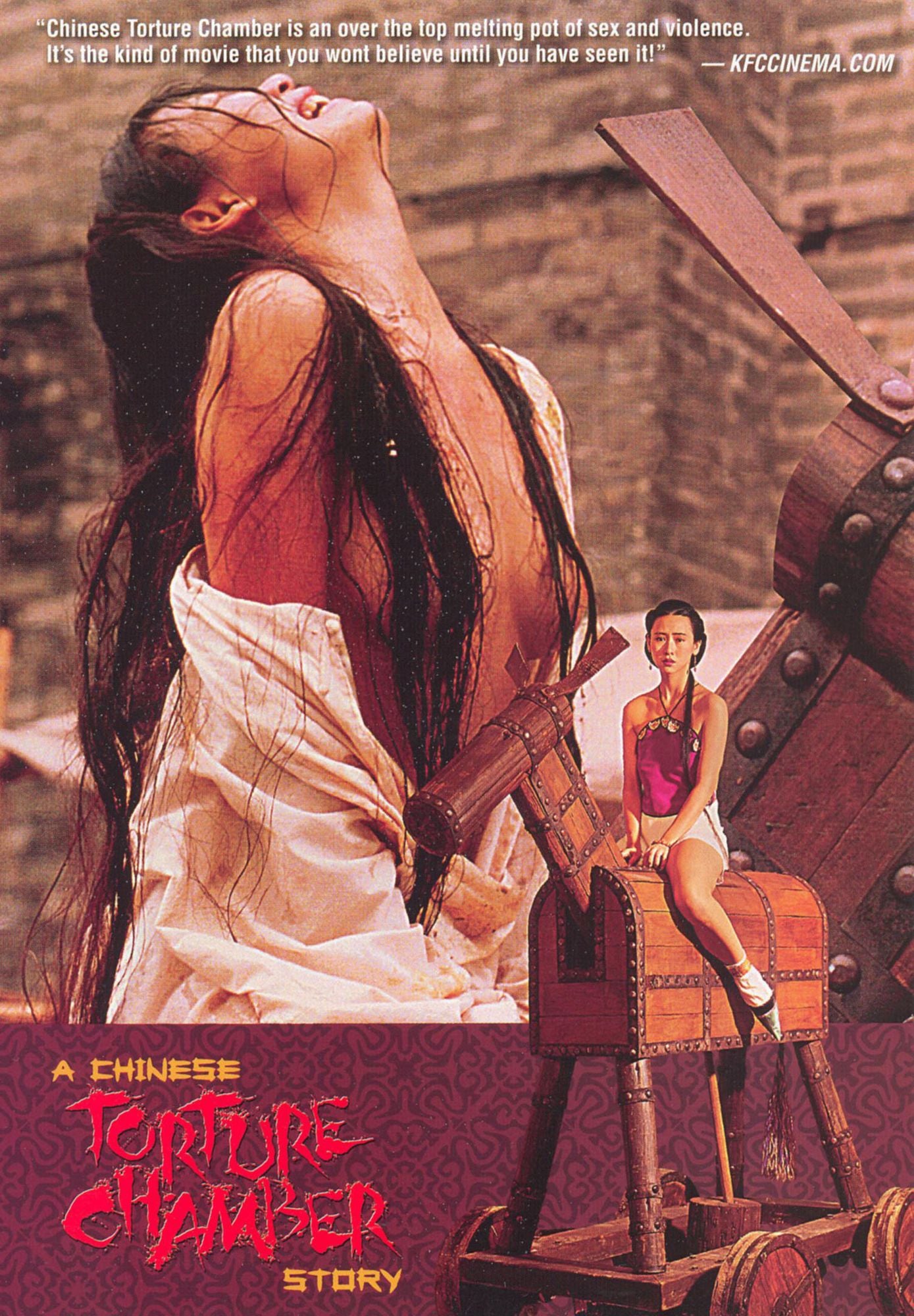 A Chinese Torture Chamber Story