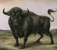 San Fermin