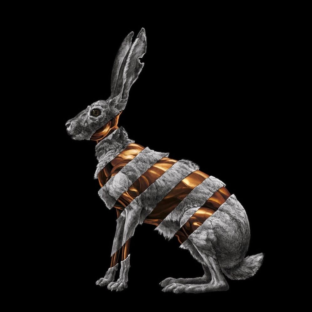 JACKRABBIT