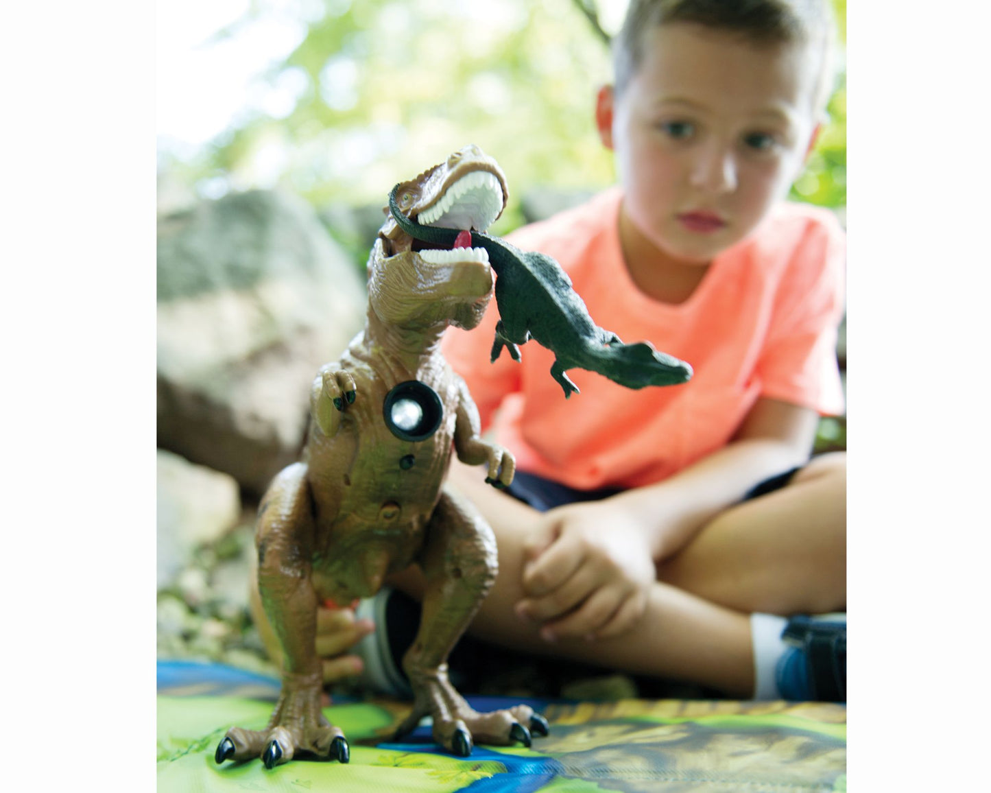 Dinosaur Projector and Room Guard