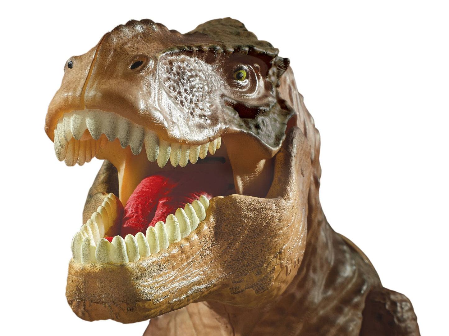 Dinosaur Projector and Room Guard