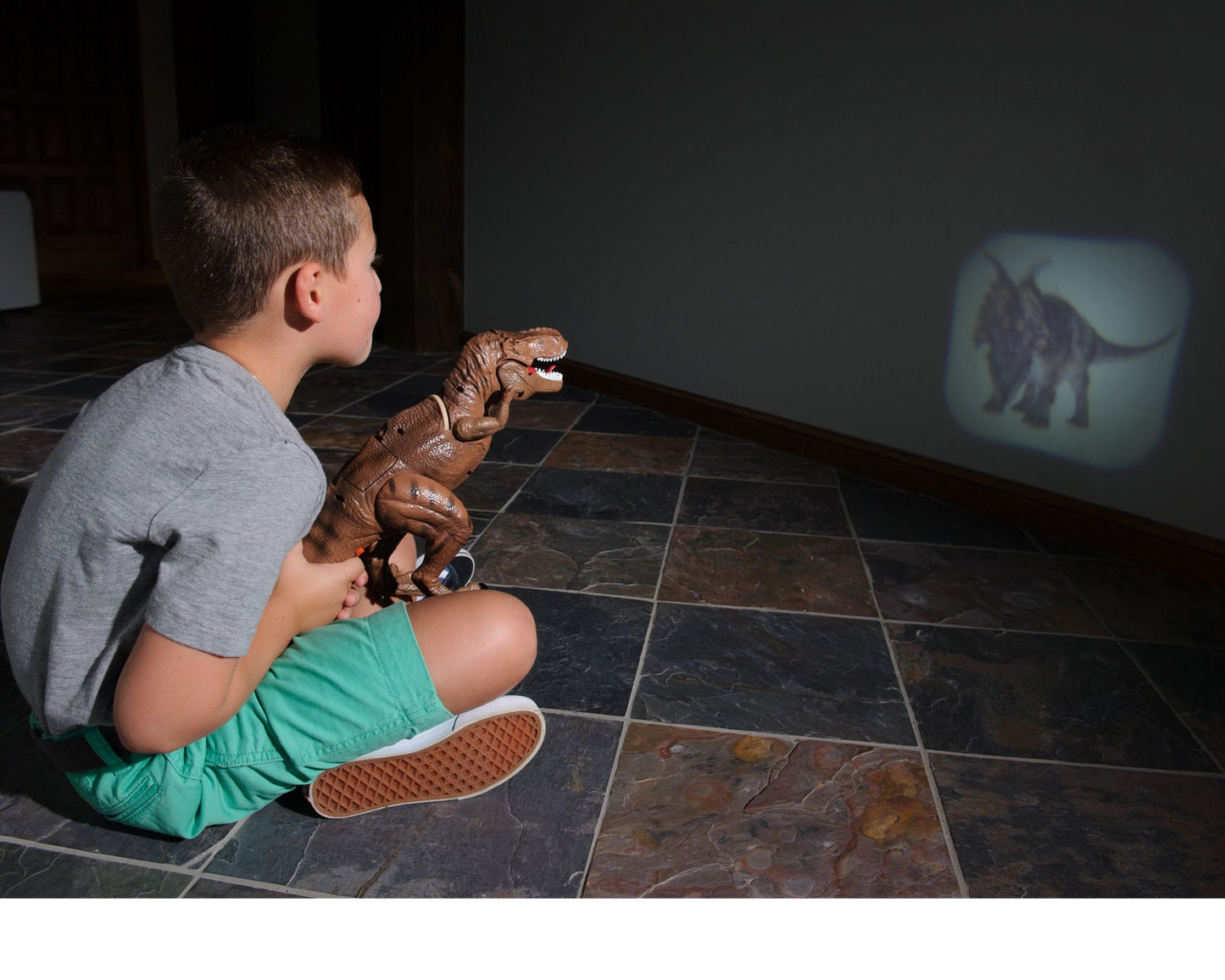 Dinosaur Projector and Room Guard