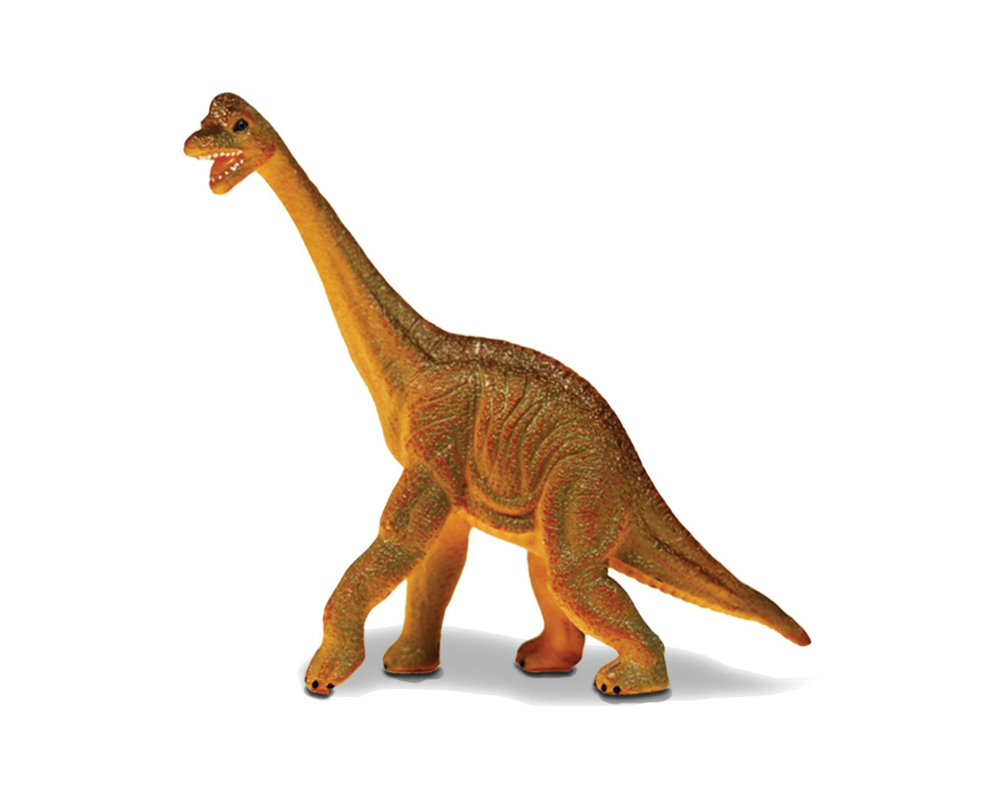 Neat-Oh! Dino Duel? Triceratops & Brachiosaurus