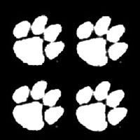 Innovative Adhesives BC8-Tiger Paw White Fan-A-Peel Temporary Tattoo-Sticker