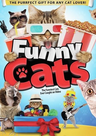 Funny Cats
