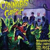 Beneath Grow Lights Thou Shalt Rise