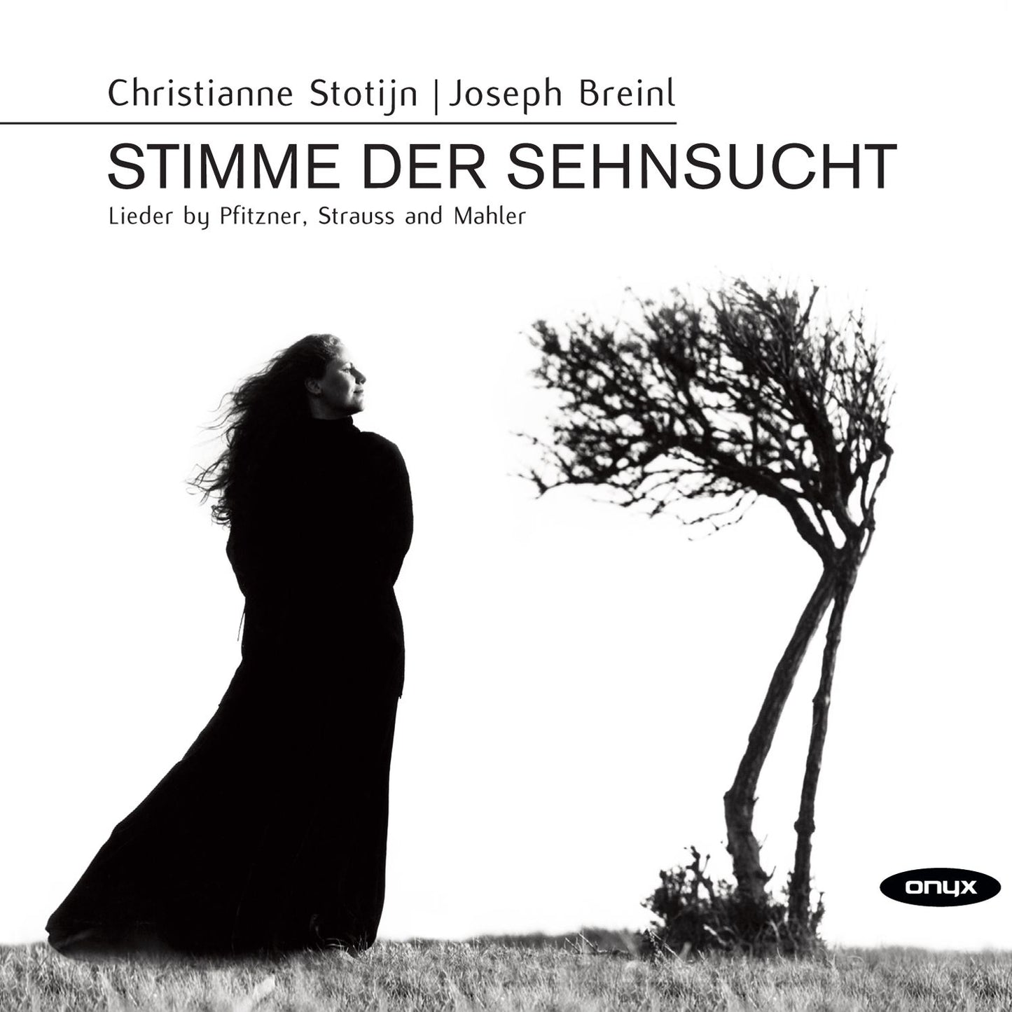 Stimme der Sehnsucht: Lieder by Pfitzner, Strauss and Mahler