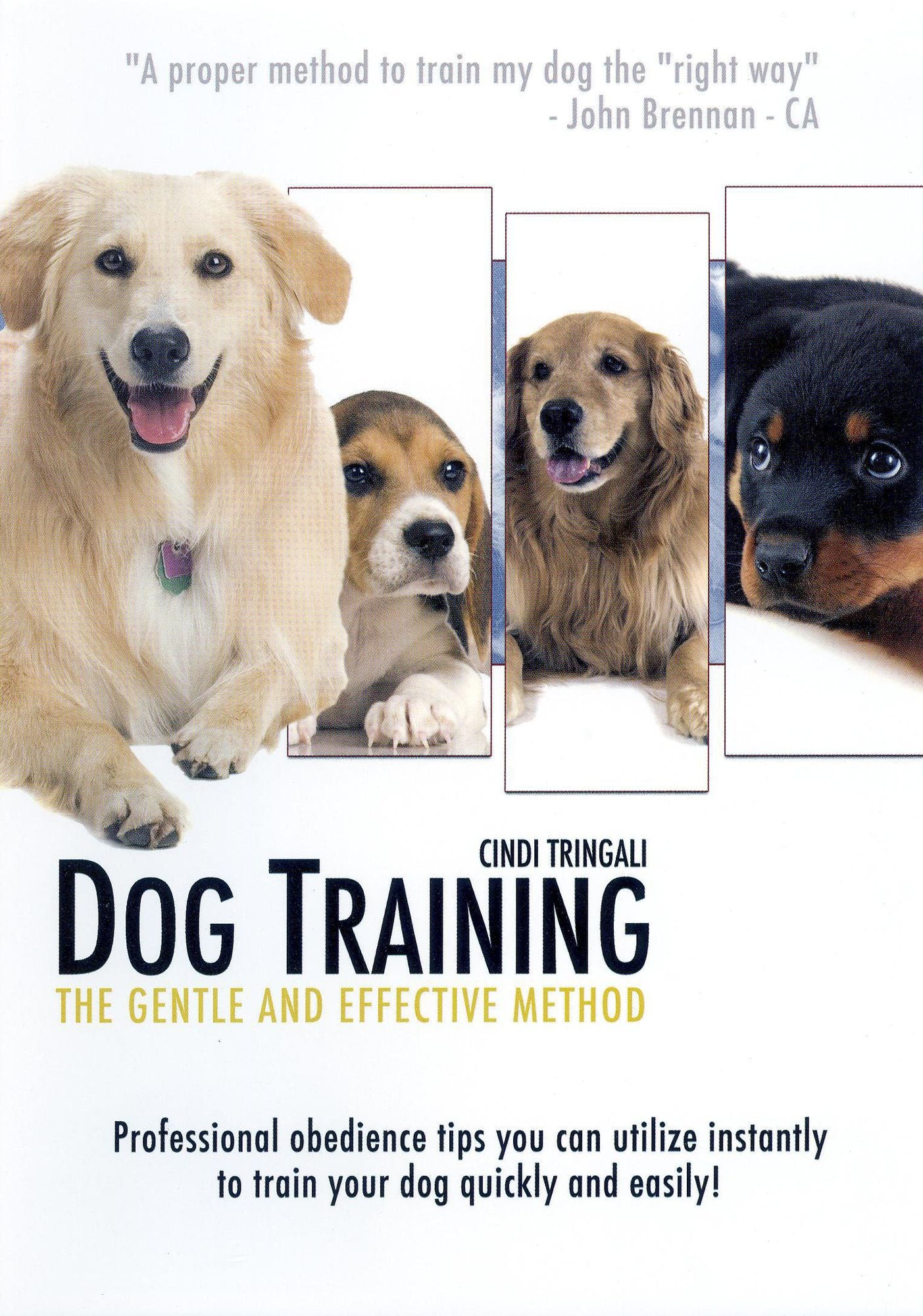 Dog Training: The Gentle and Effective Method