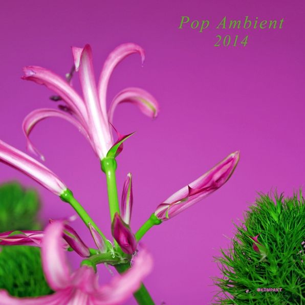 Pop Ambient 2014 [Lp/cd]