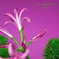 Pop Ambient 2014 [Lp/cd]