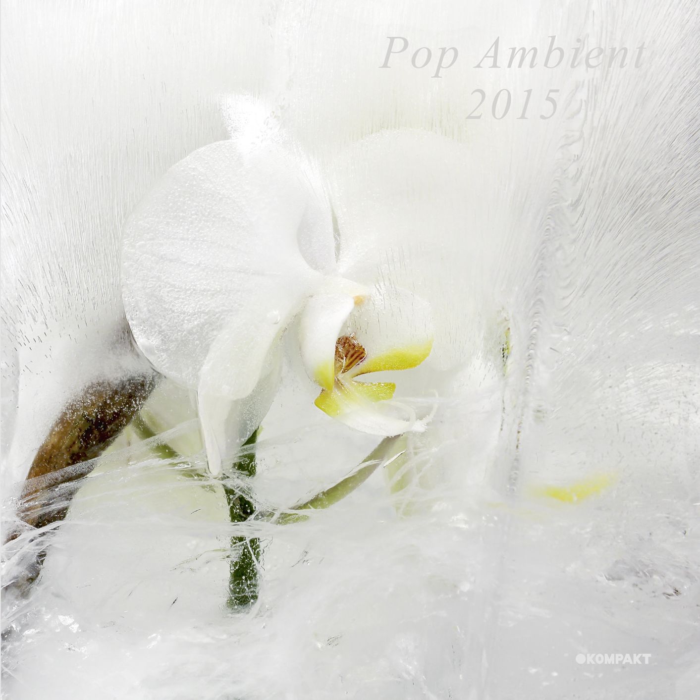 POP AMBIENT 2015 / VARIOUS