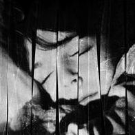 The Freemartin Calf [Lp+dvd]