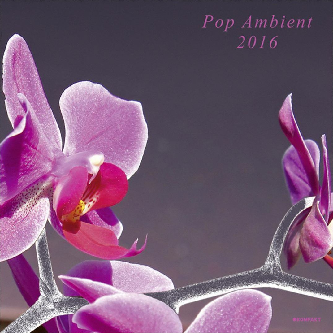 Pop Ambient 2016 [Lp]