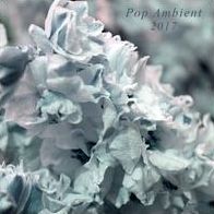 Pop Ambient 2017