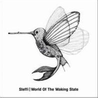 World Of The Waking State