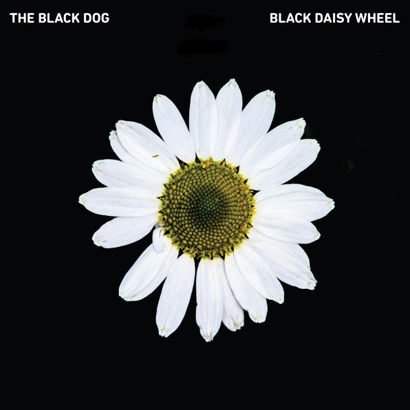 Black Daisy Wheel (Black Dog)