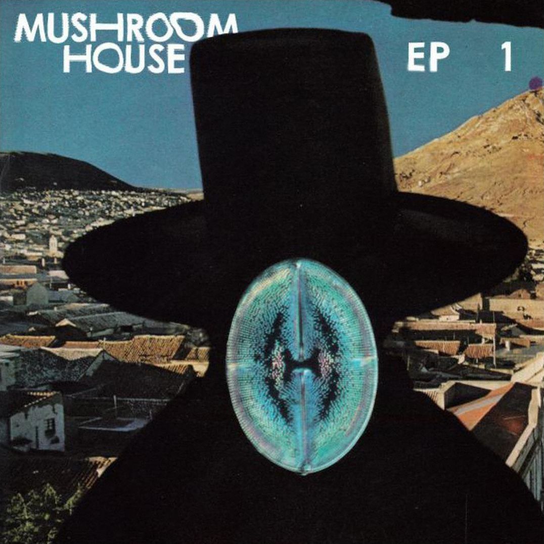 Mushroom House