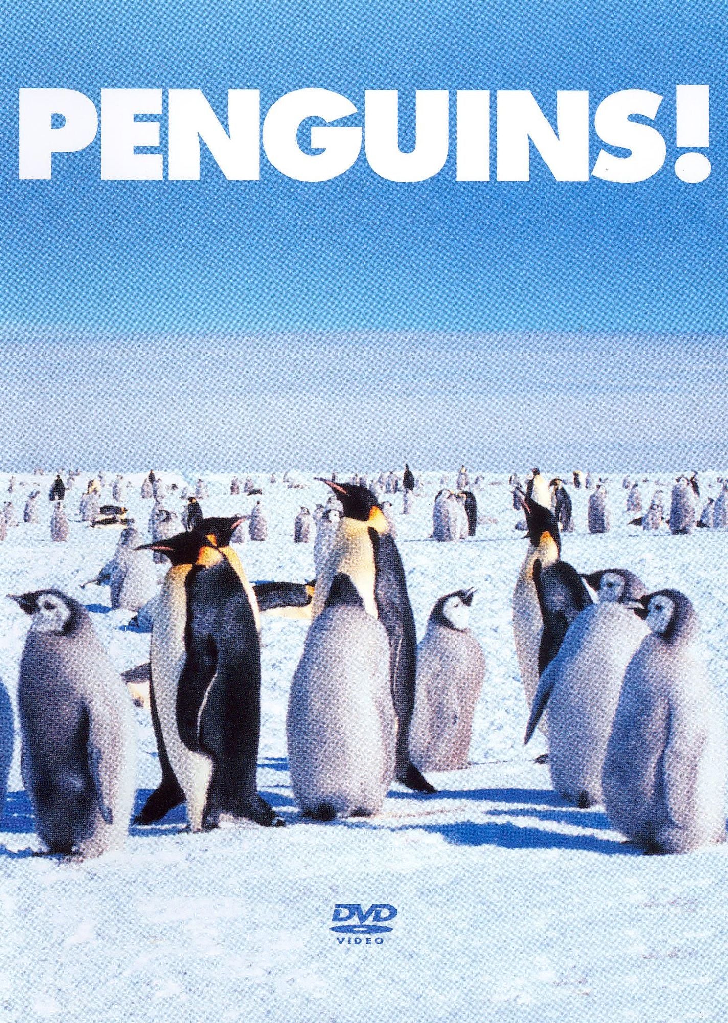 Penguins!