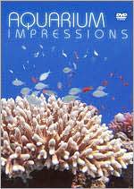 Aquarium Impressions
