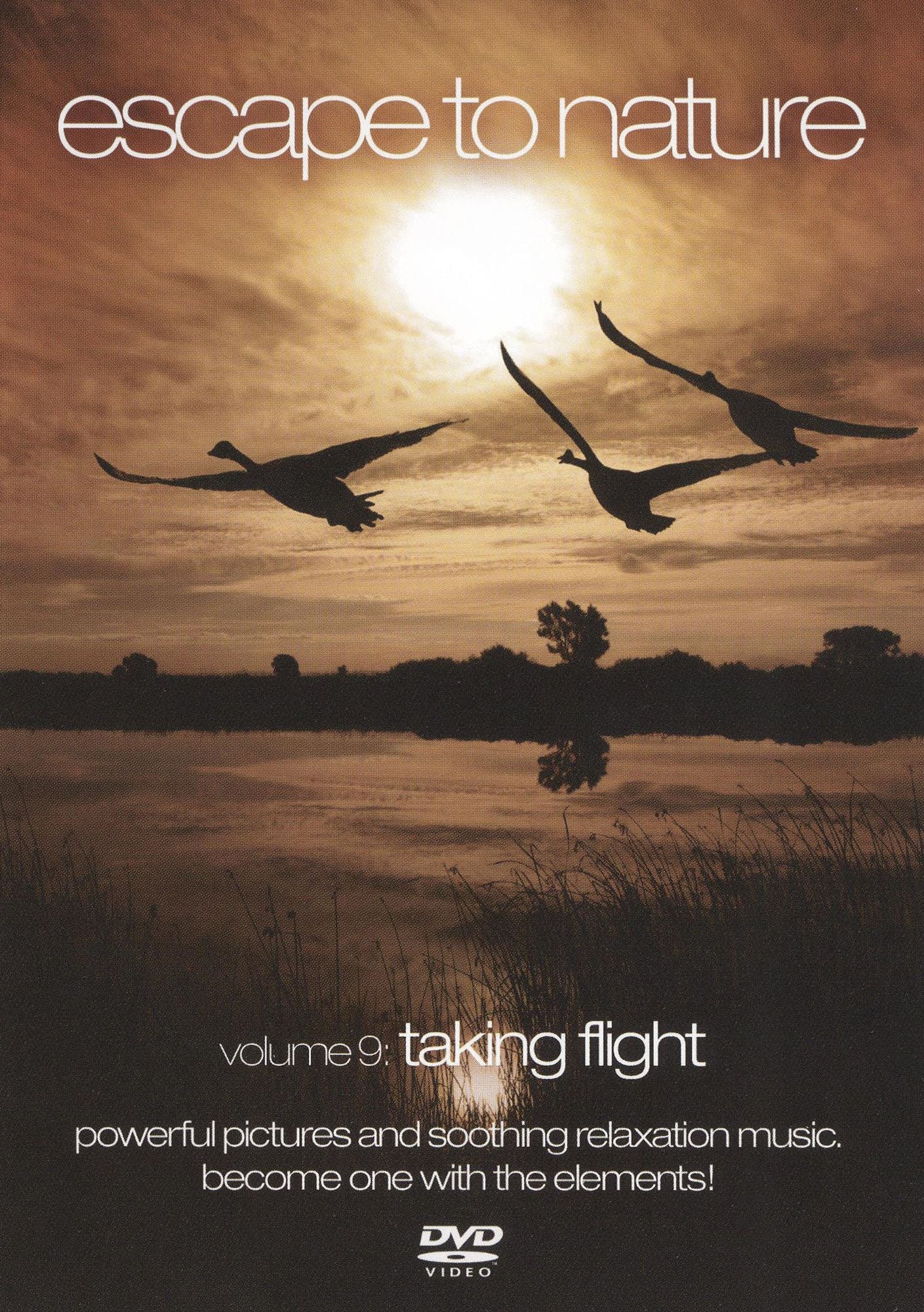 Escape to Nature, Vol. 9: Taking Flight