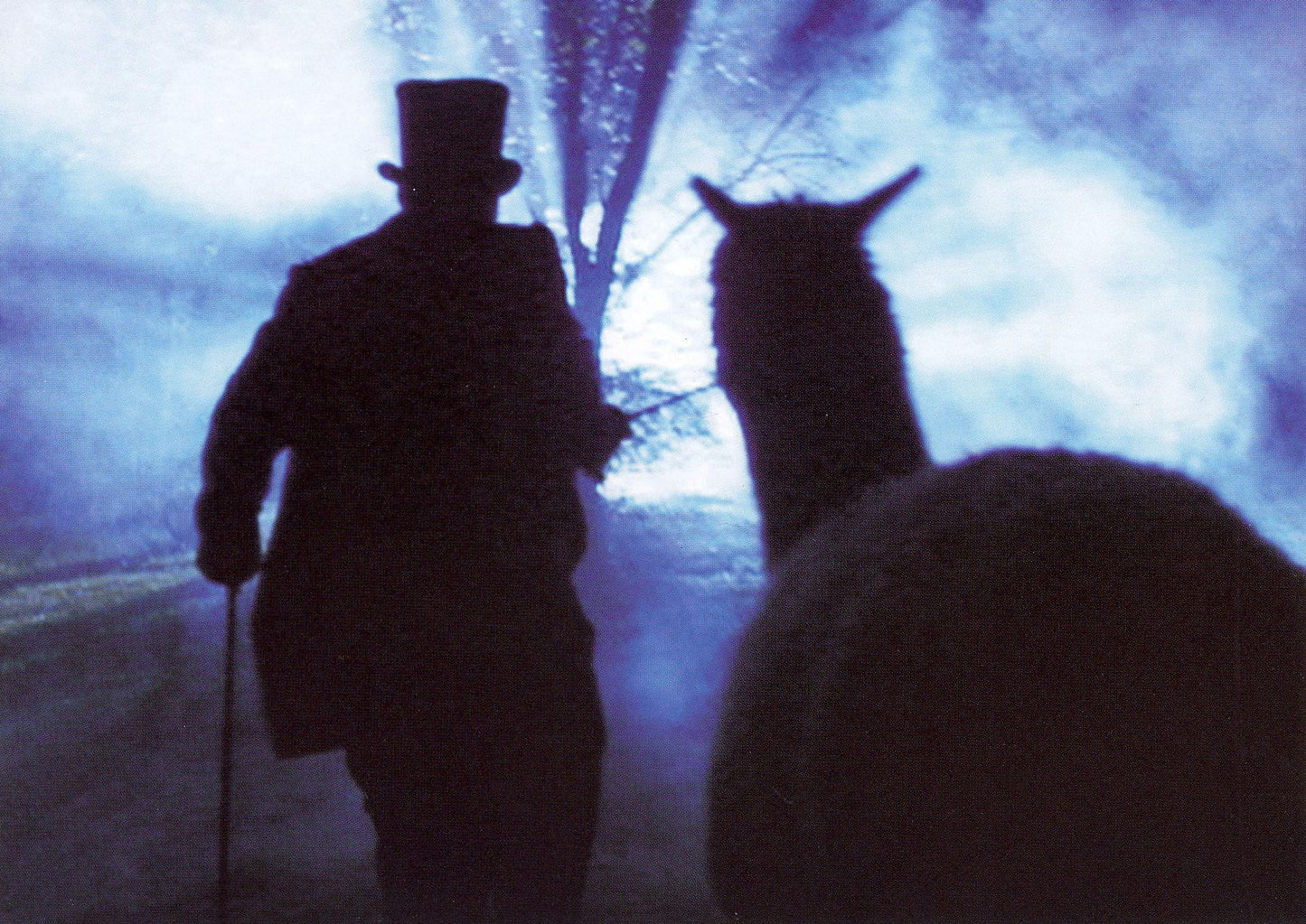 My Morning Jacket: Okonokos