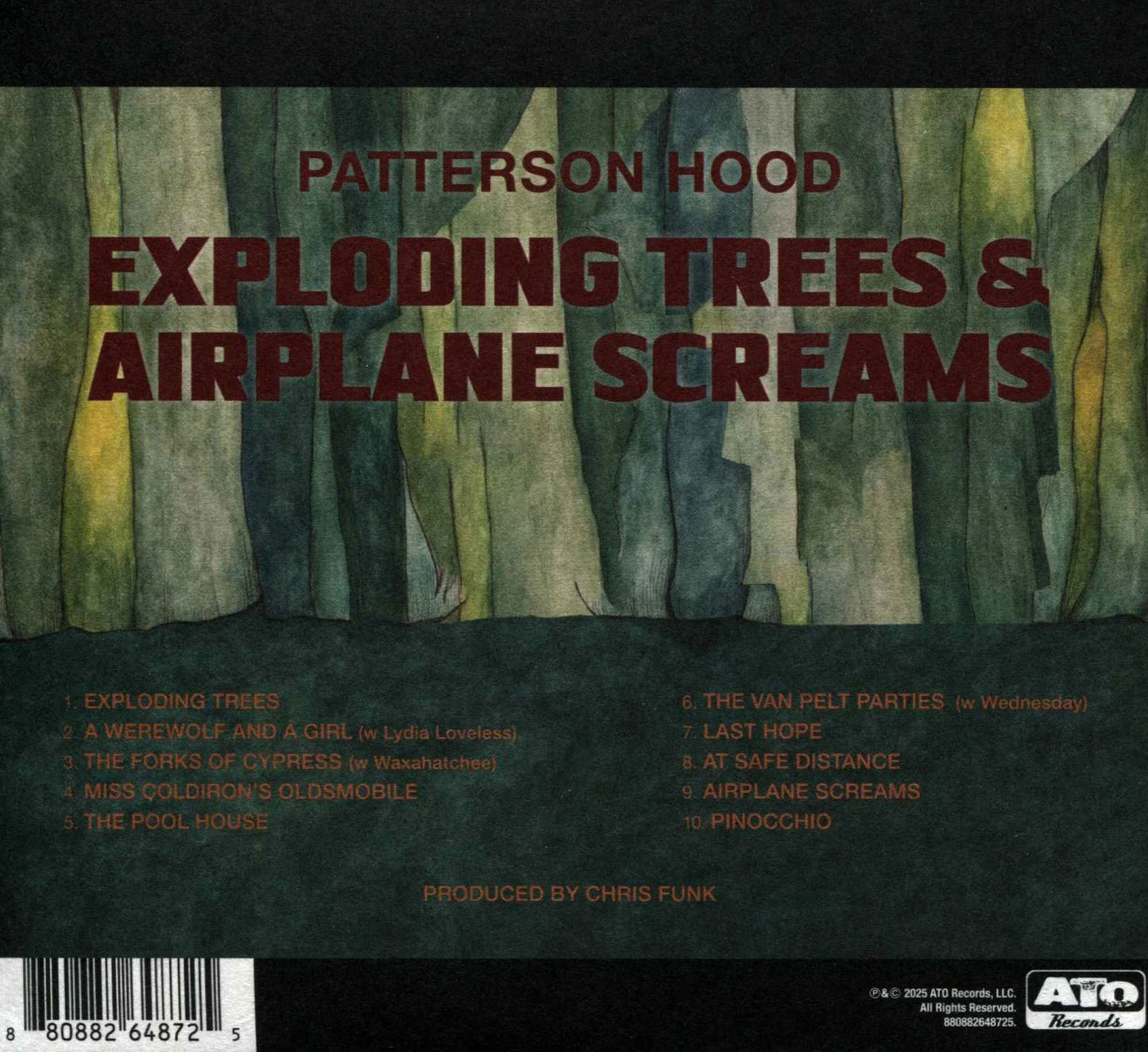 Exploding Trees & Airplane Screams (Patterson Hood)