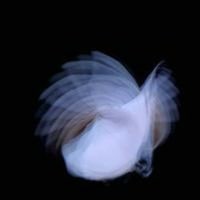 Feathermagnetik