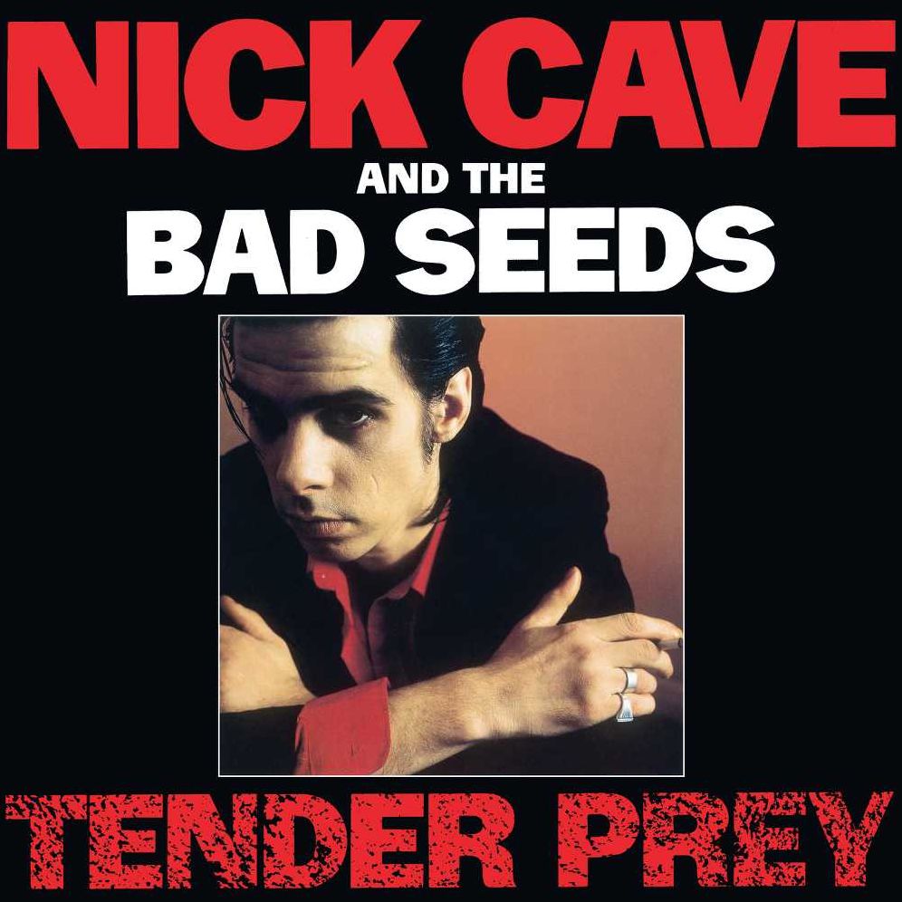 TENDER PREY