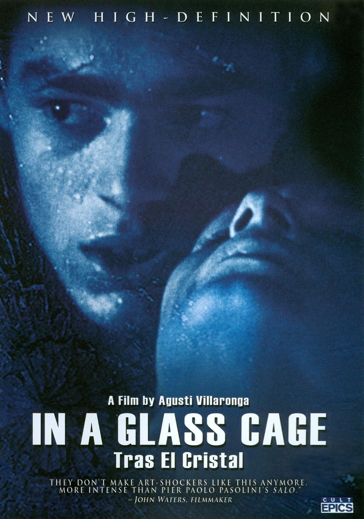 In a Glass Cage