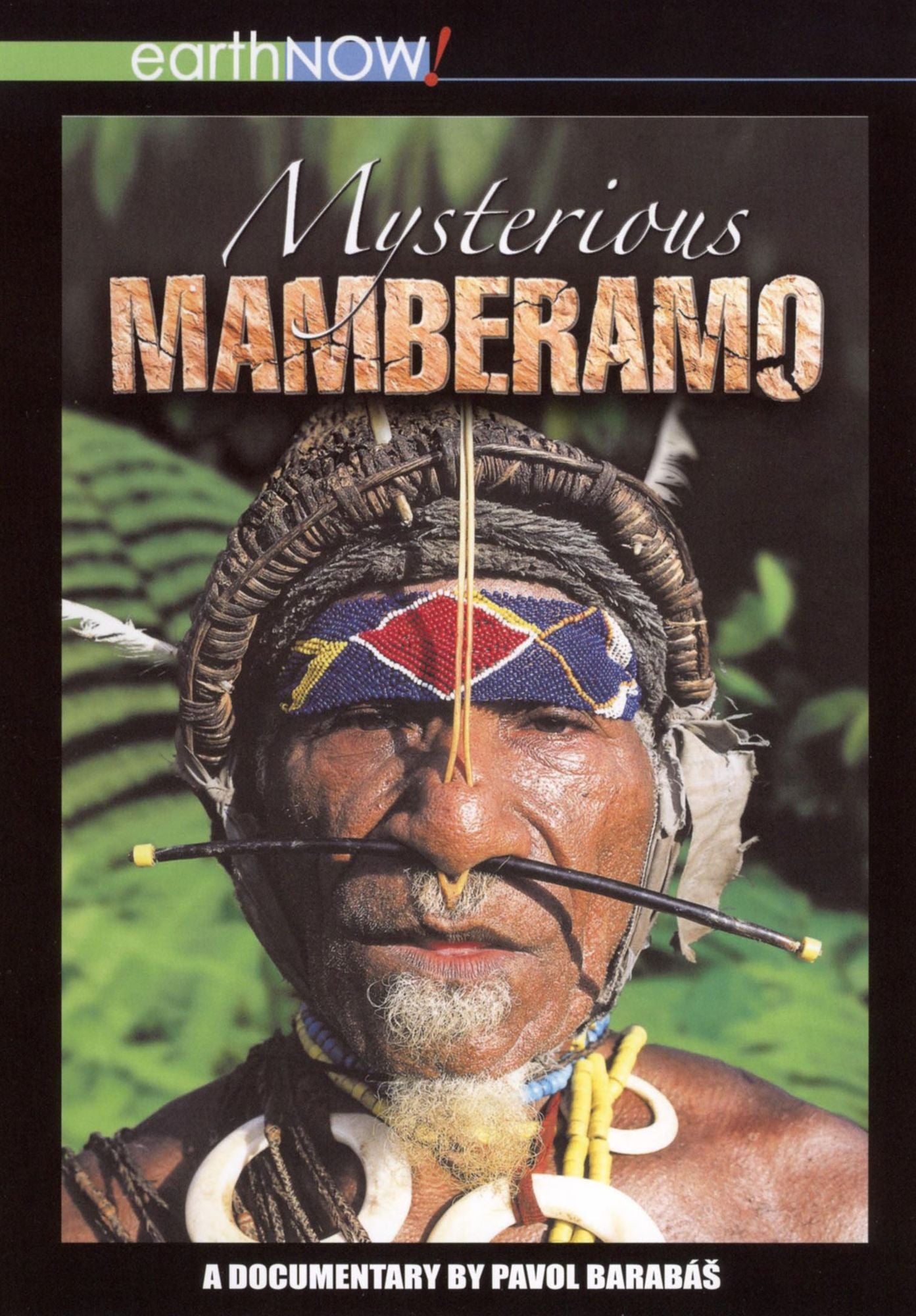 Mysterious Mamberamo