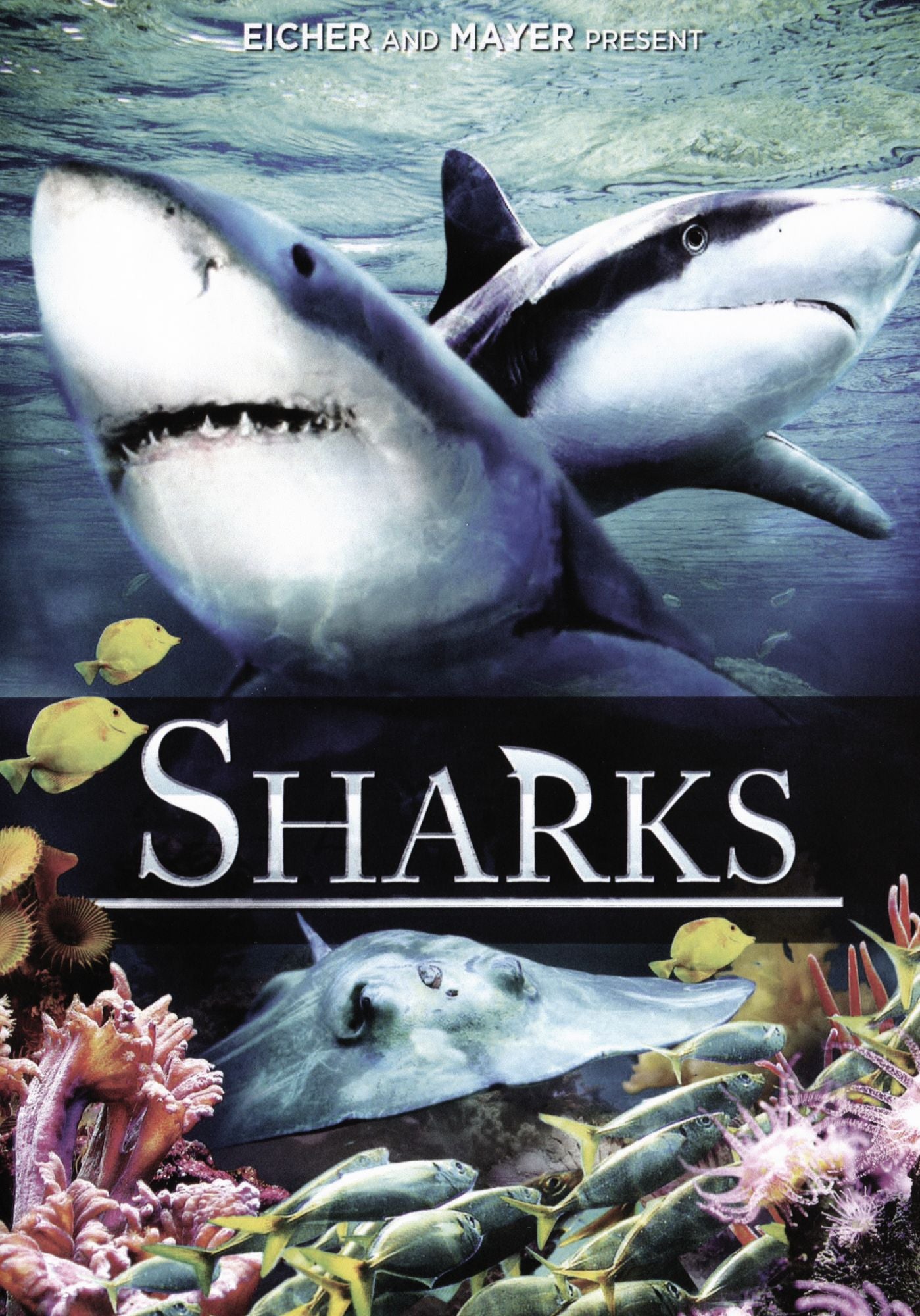 Sharks 3D