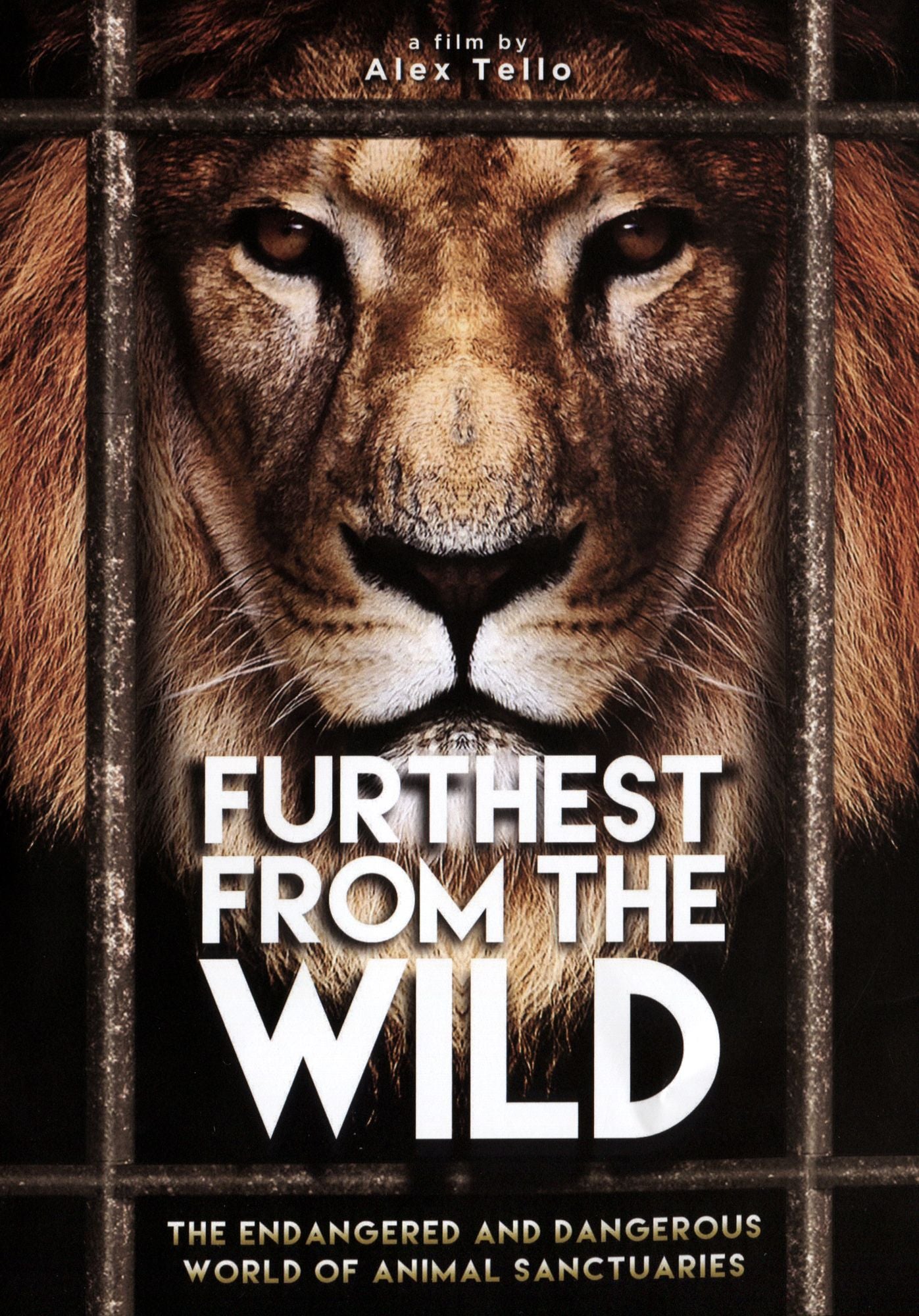 Furthest from the Wild