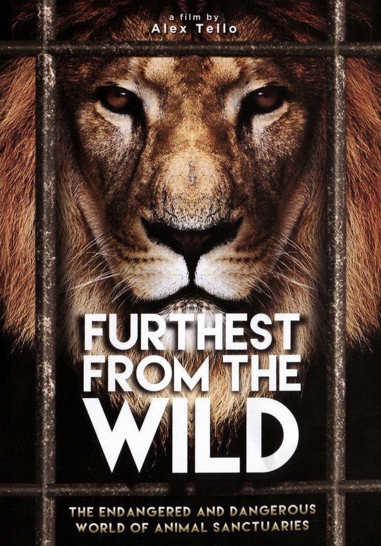 Furthest from the Wild