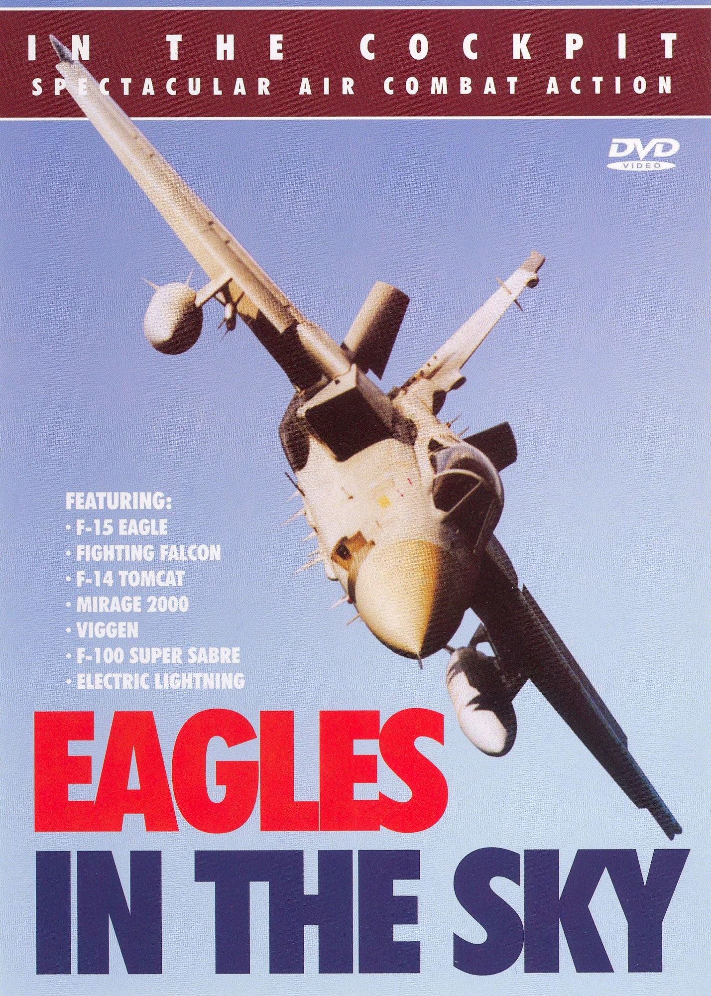 In the Cockpit: Eagles in the Sky