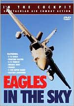 In the Cockpit: Eagles in the Sky