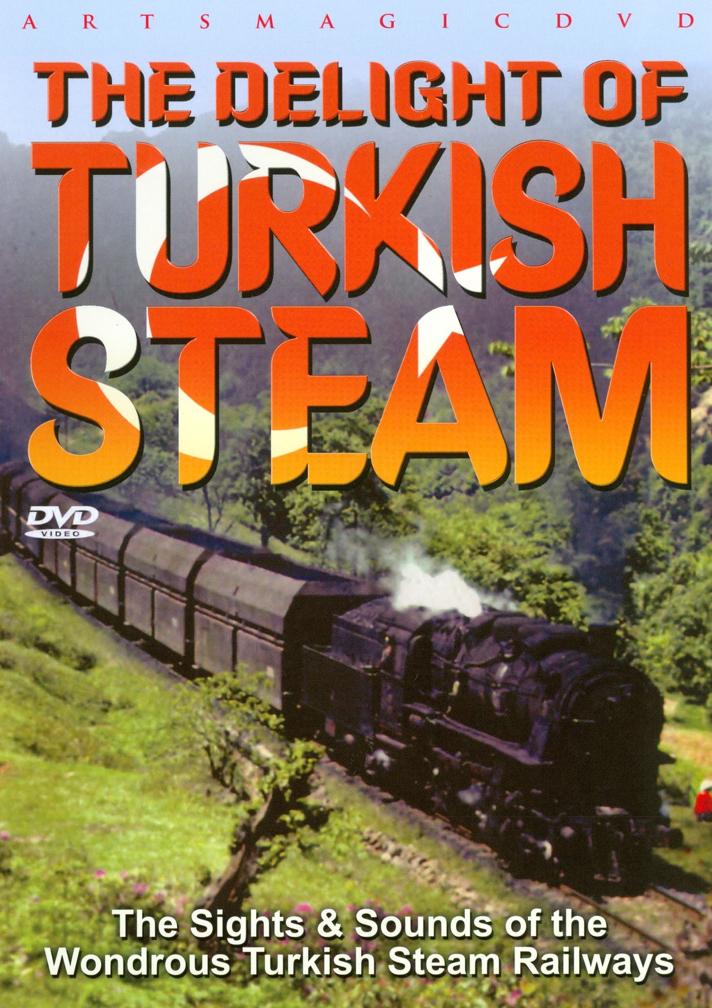 The Delight of Turkish Steam
