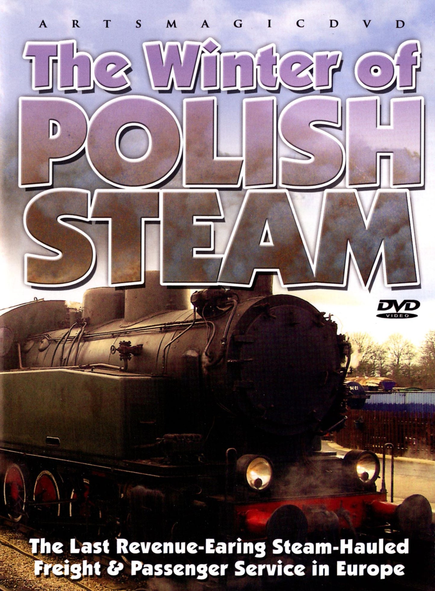 The Winter Of Polish Steam