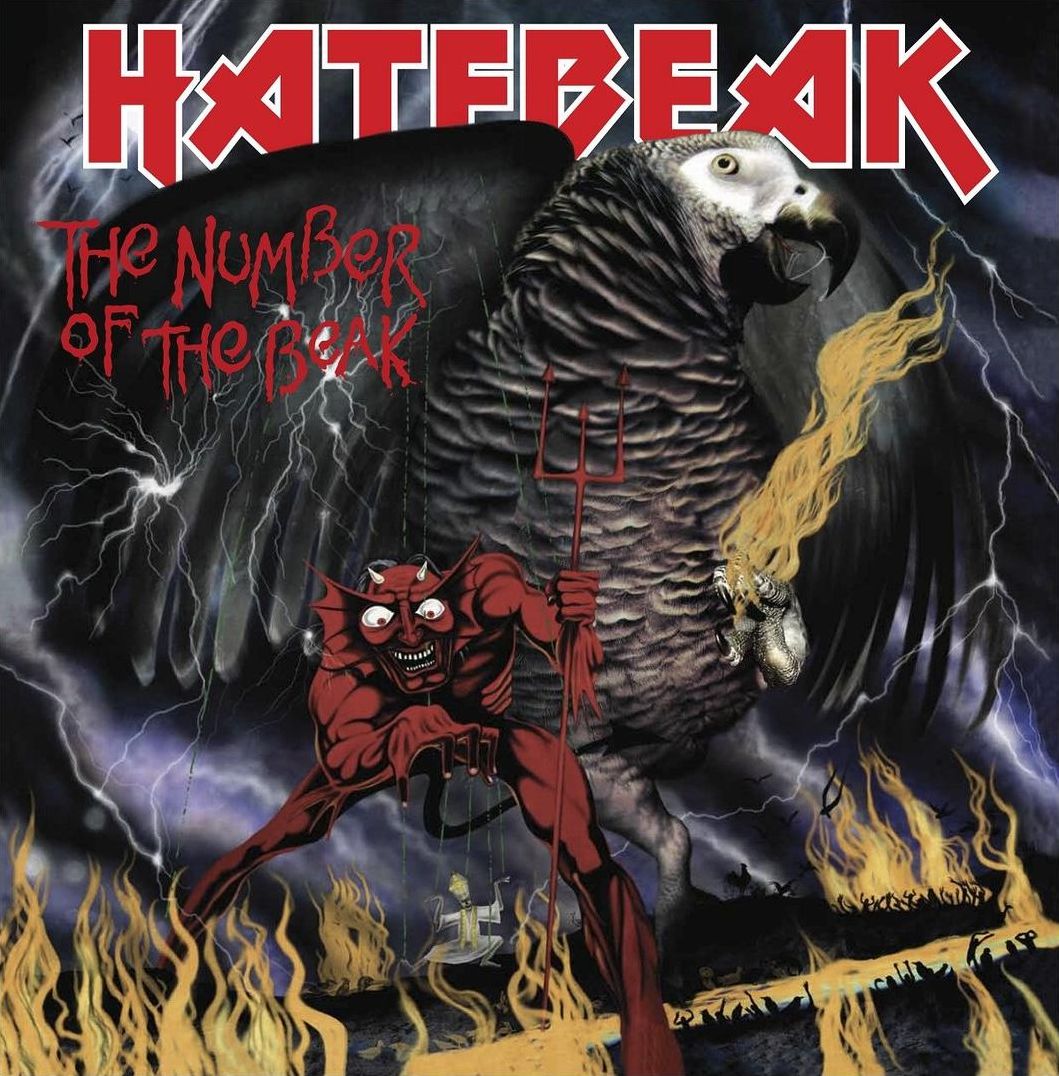 The Number Of The Beak