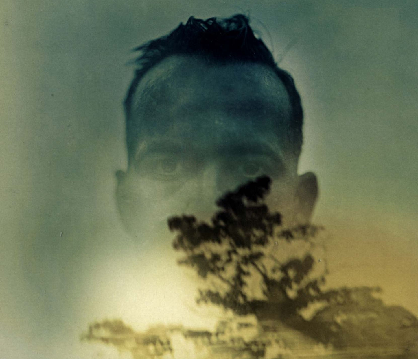 Rabbit Runs A Destiny (Duquette Johnston)