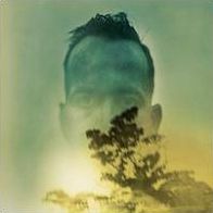 Rabbit Runs A Destiny (Duquette Johnston)