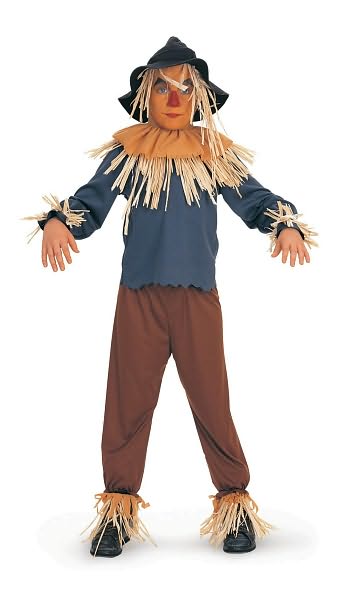 Wizard of Oz Scarecrow Child Costume: Size Medium