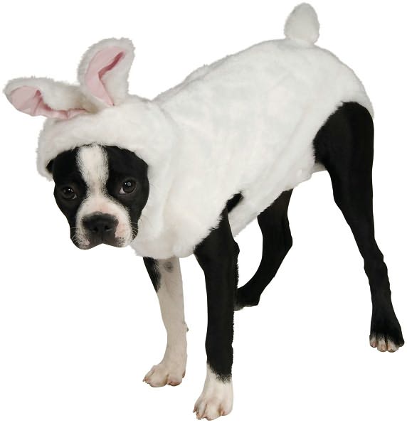 Bunny Pet Costume: Large