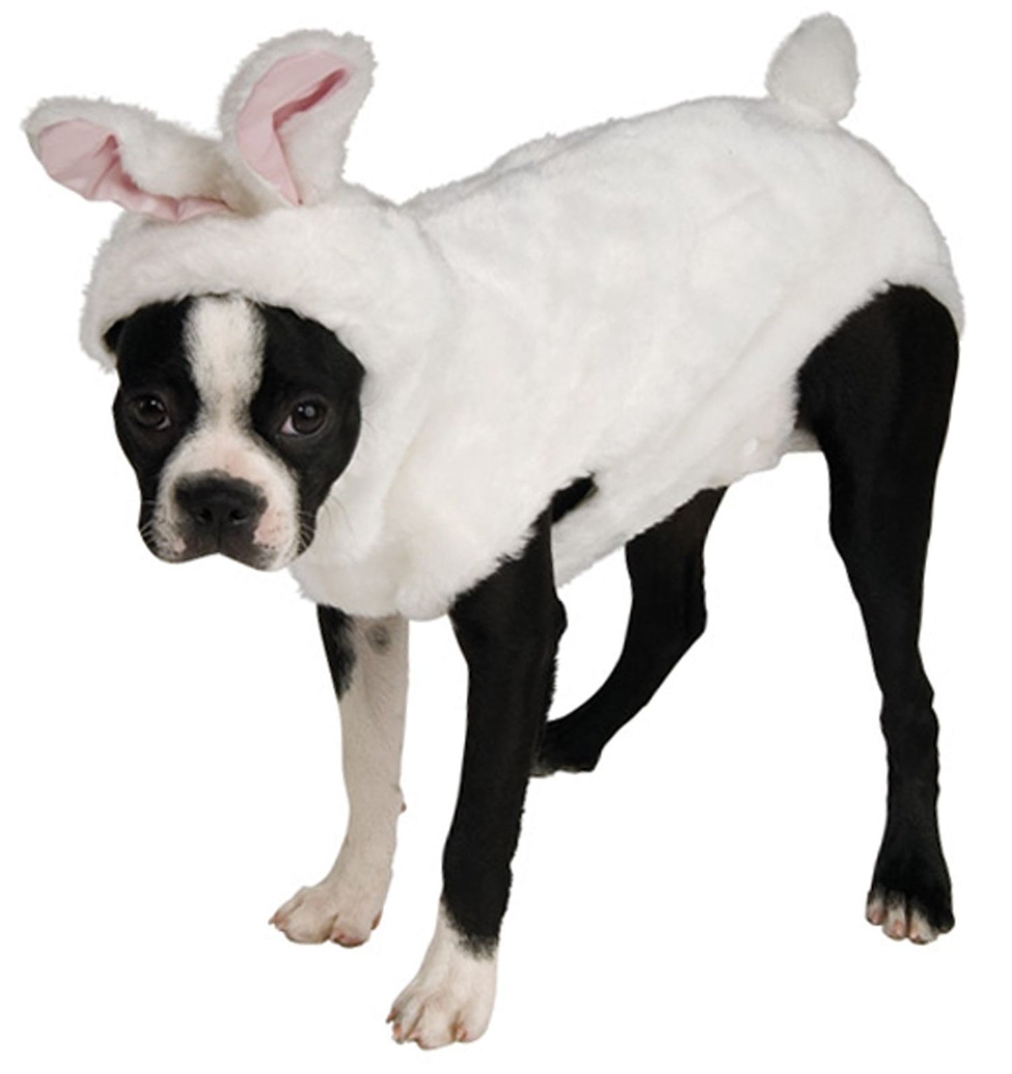 Bunny Pet Costume: X-Large