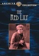 The Red Lily