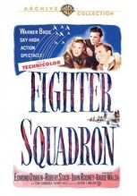 Fighter Squadron
