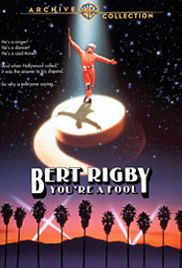 Bert Rigby, You're a Fool