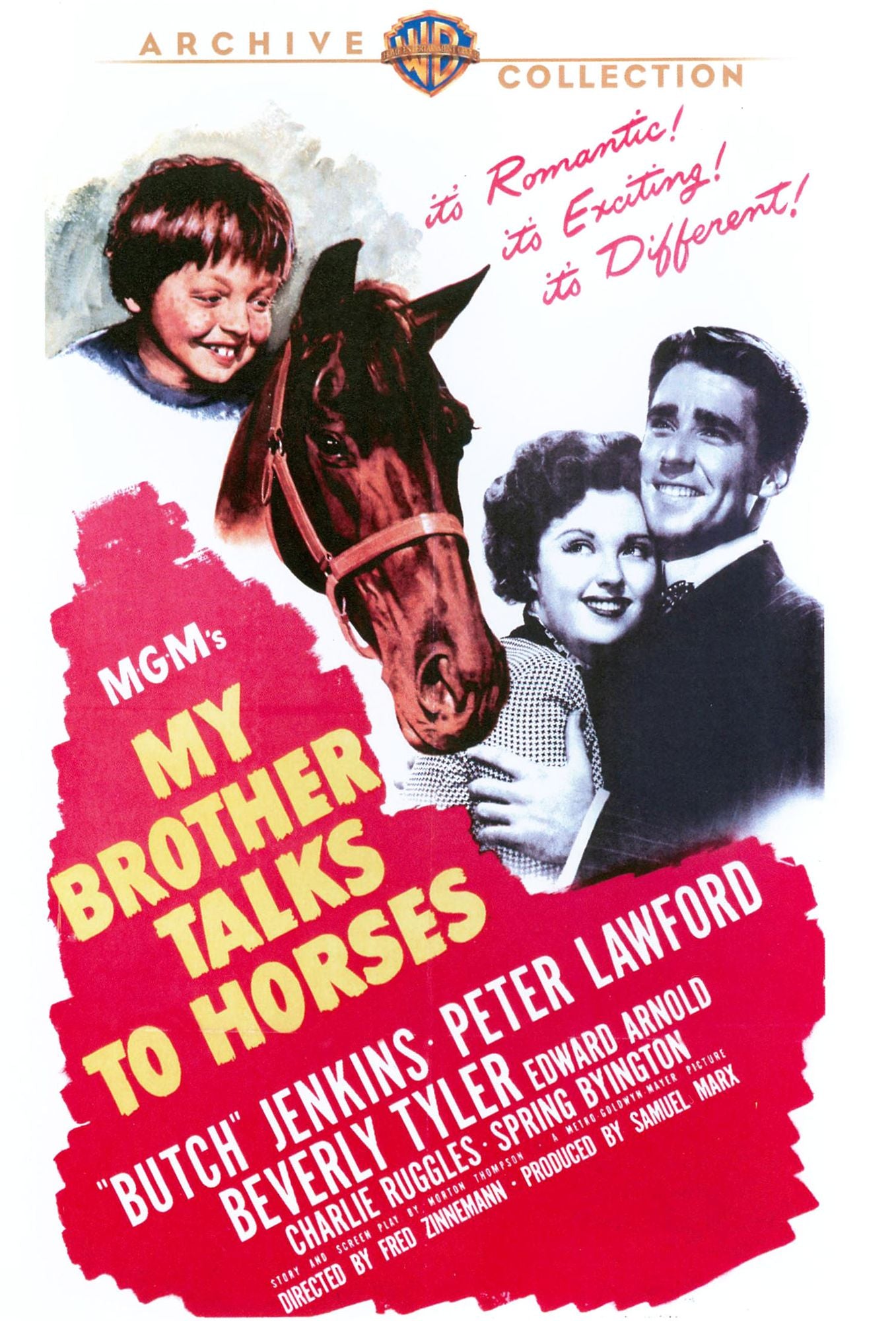 My Brother Talks to Horses